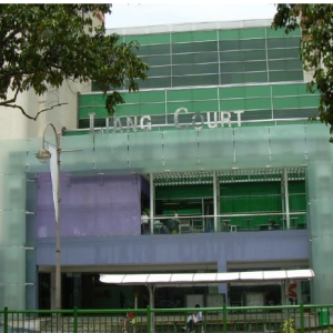 liang-court-1